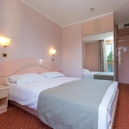 ホテル Park Plava Laguna 4*